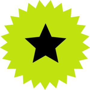 Hamilton Day's yellow star badge with a black star vertically and horizontally aligned within it