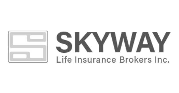 Skyway Insurance logo